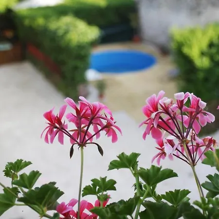 Well Living Aparthotel Balatonalmadi